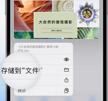 隆林apple维修中心分享iPhone文件应用中存储和找到下载文件