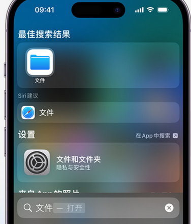 隆林apple维修中心分享iPhone文件应用中存储和找到下载文件