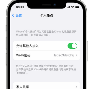 隆林apple服务站点分享iPhone上个人热点丢失了怎么办 