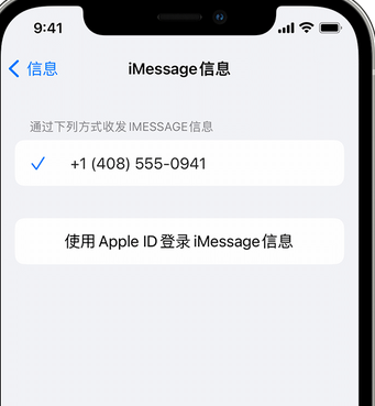 隆林apple维修iPhone上无法正常发送iMessage信息 