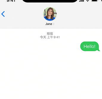 隆林apple维修iPhone上无法正常发送iMessage信息