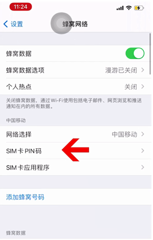 隆林苹果14维修网分享如何给iPhone14的SIM卡设置密码 