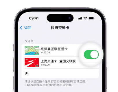 隆林apple维修点分享iPhone上更换Apple Pay快捷交通卡手绘卡面 