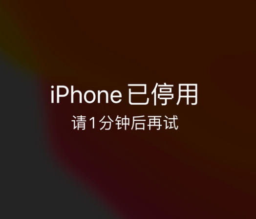 隆林苹果手机维修分享:iPhone 显示“不可用”或“已停用”怎么办？还能保留数据吗？ 