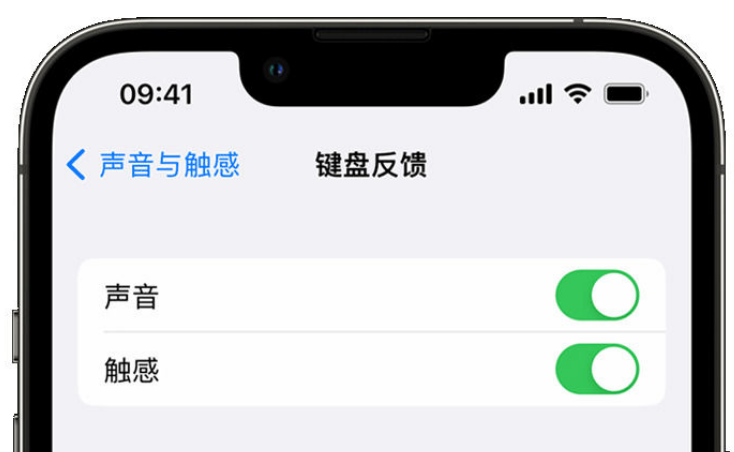 隆林苹果手机维修分享iPhone 14触感键盘使用方法 