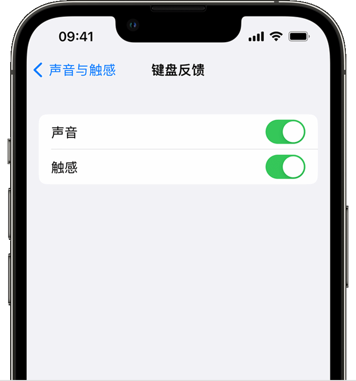 隆林苹果14维修店分享如何在 iPhone 14 机型中使用触感键盘 