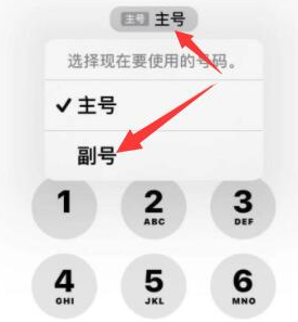 隆林苹果14维修店分享iPhone 14 Pro Max使用副卡打电话的方法 