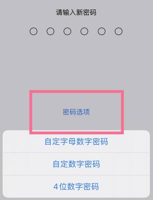 隆林苹果14维修分享iPhone 14plus设置密码的方法 