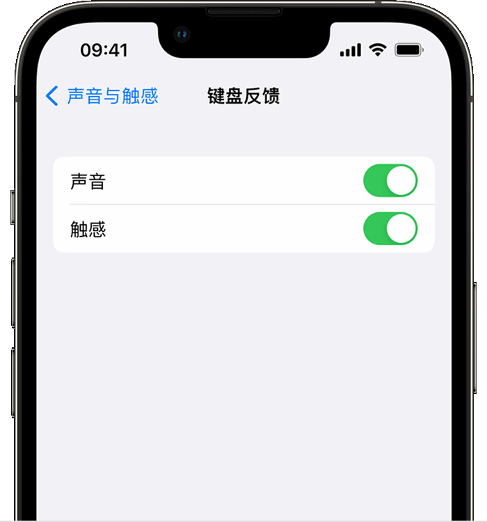 隆林苹果14维修分享iPhone 14 系列机型如何开启键盘声音或触感反馈 