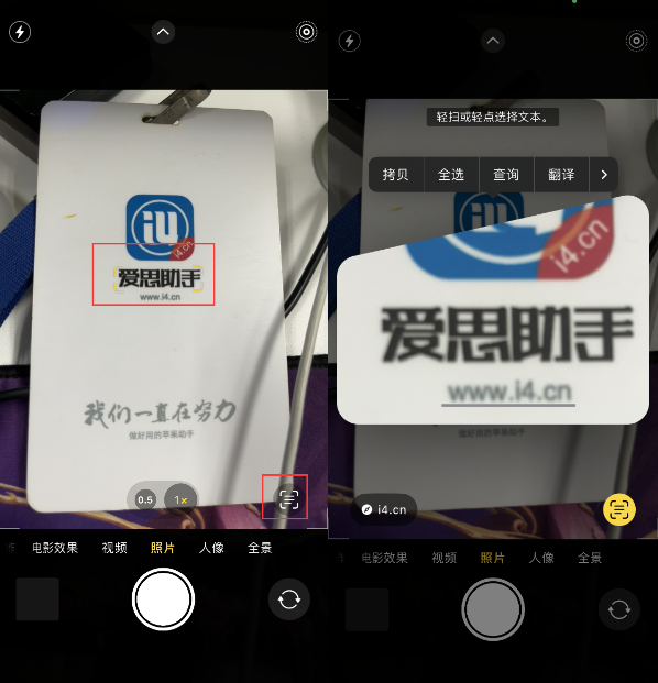 隆林苹果手机维修分享升级iOS 16后如何通过相机翻译文本 