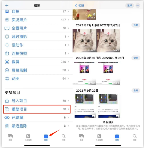 隆林苹果手机维修分享iOS 16 中相册重复项目功能使用方法 