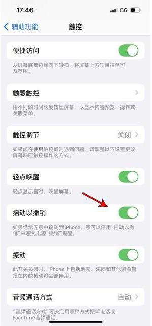 隆林苹果手机维修分享iPhone手机如何设置摇一摇删除文字 