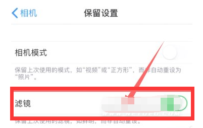 隆林苹果13维修分享iPhone13拍照有绿点是怎么回事 
