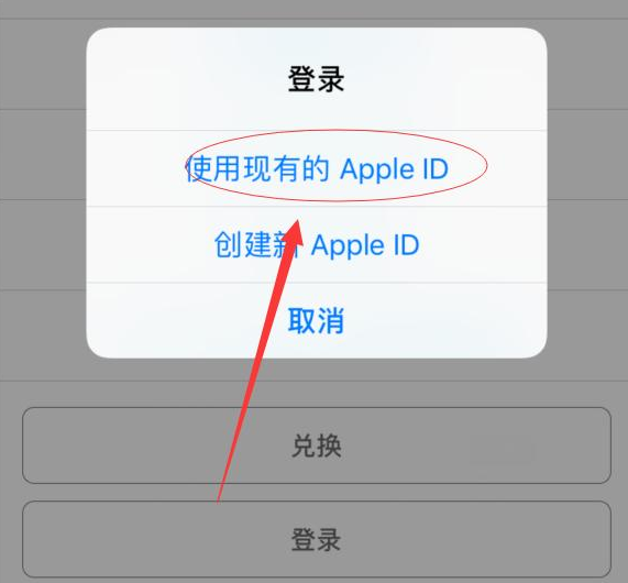 隆林苹果手机维修分享两台iPhone设备可以同时登录一个Apple ID吗 