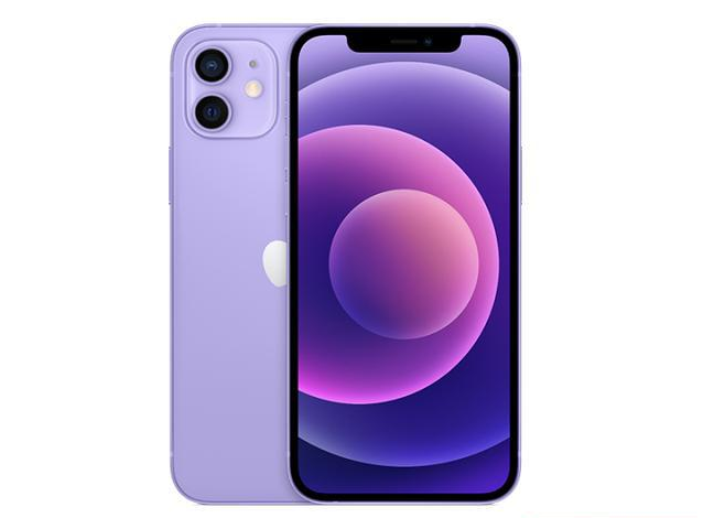 隆林苹果手机维修分享现阶段要不要入手紫色版iPhone12 