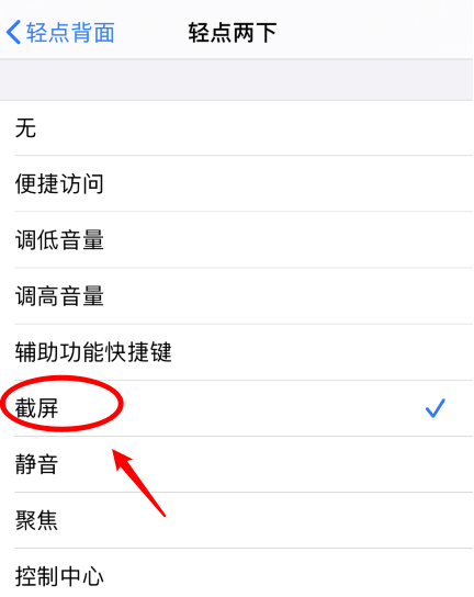 隆林苹果手机维修分享iPhone12如何启用双击截屏 