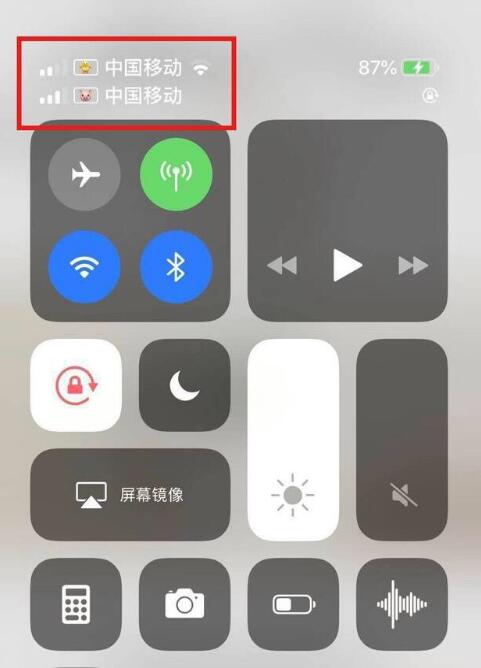 隆林苹果手机维修分享为 iPhone 12 双卡设置标签 