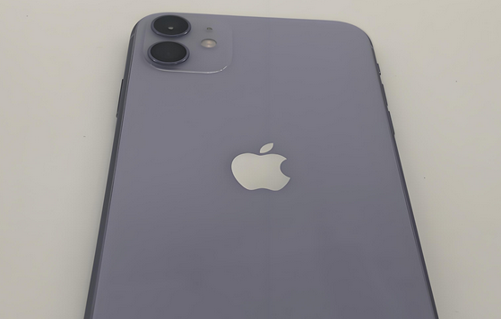 隆林苹果11系统维修分享iPhone11手机系统崩溃无法开机如何解决 